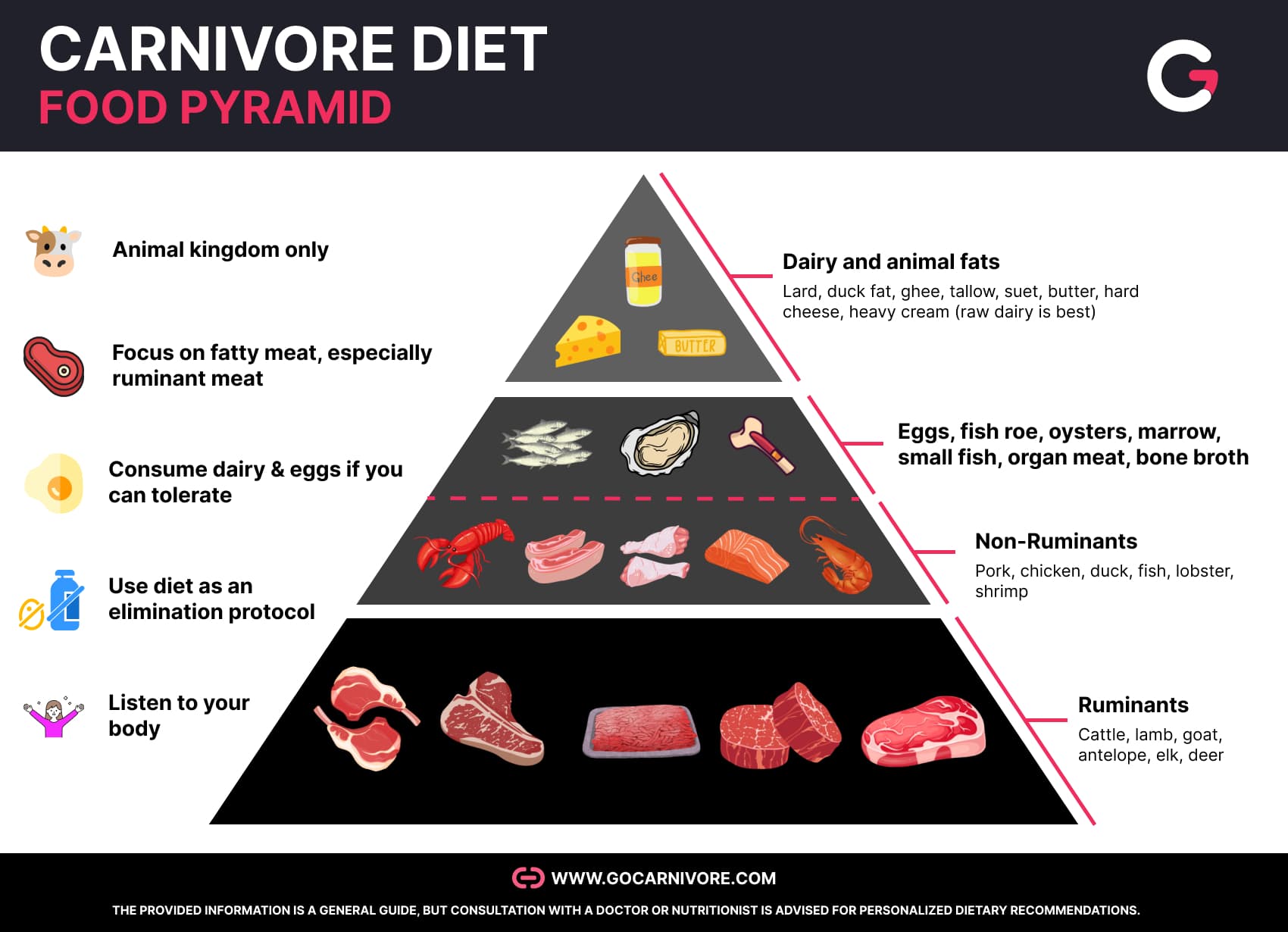 Carnivore Food Pyramid