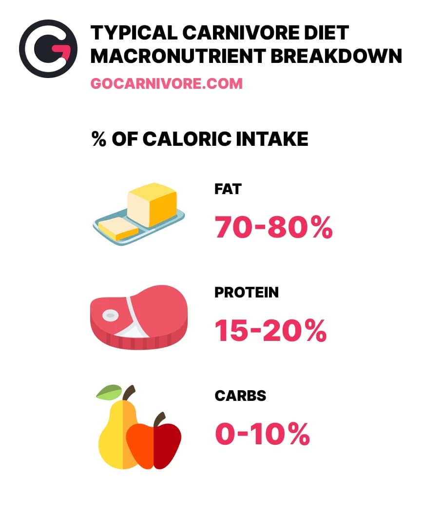 Carnivore Diet Macros